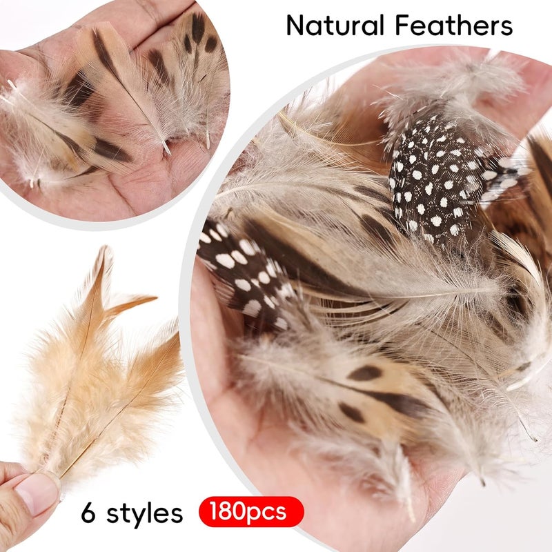 MehelloFeather Store Natural Pheasant Feathers 6 Style Craft Feathers for Dream Catcher Decoration Craft Natural Mixed Feathers (180Pcs) - Image 3